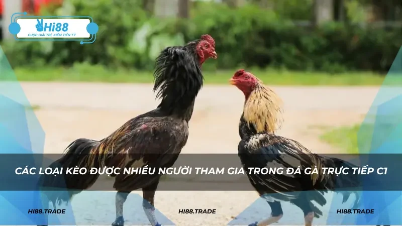 Các loại kèo được nhiều người chơi trong đá gà C1
