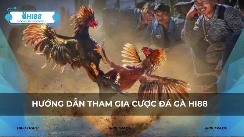 Tổng hợp các loại kèo đá gà HI88 hấp dẫn và phổ biến nhất